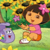 Dora 7 farkı bul